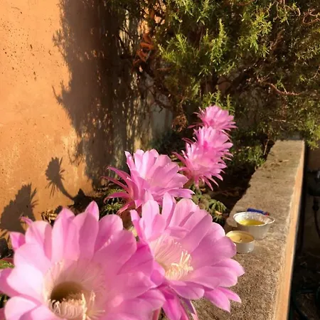 Le Viste Su Ortano Apartman